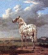 POTTER, Paulus The Piebald Horse painting